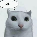 尾矿的头像-UltraMax